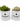 Pote_blanco_LOGO