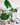 alocasia_Macrorrhizos_bouquetspanama_grande